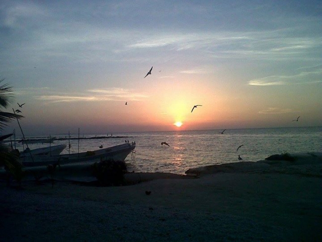 tardes de pesca